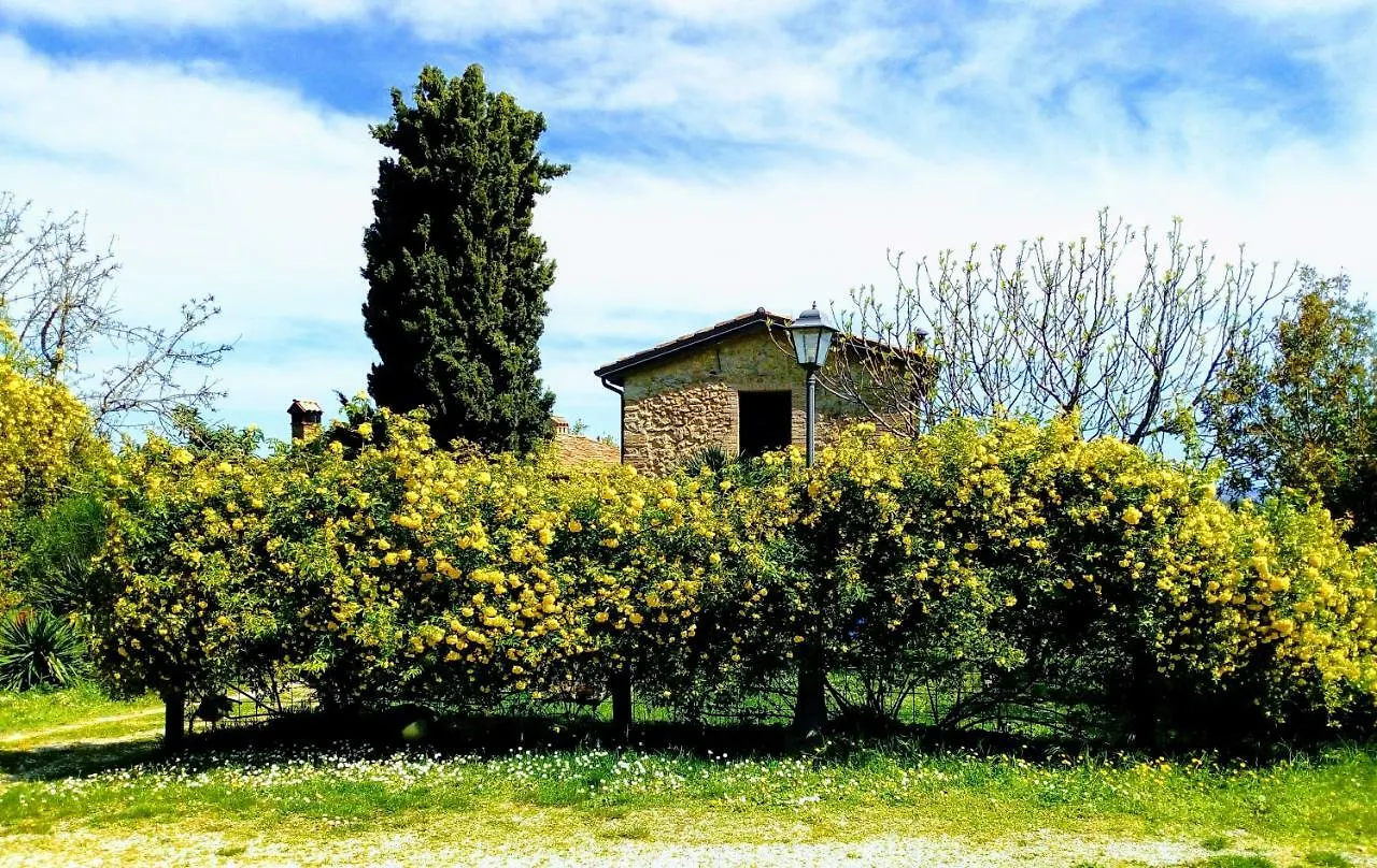 La Cana Dolce Bertinoro Farm stay