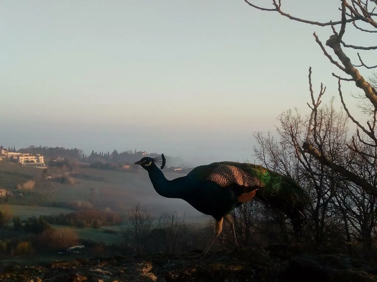 Farm stay La Cana Dolce Bertinoro